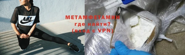 прущие грибы Армянск