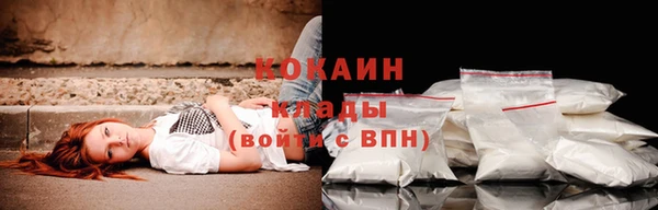 прущие грибы Армянск